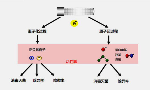 product7-print2.jpg product7-print2.jpg